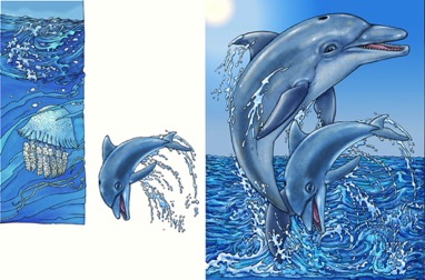 Dolphins - Ink Line - Photoshop Painted